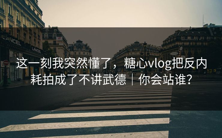 这一刻我突然懂了，糖心vlog把反内耗拍成了不讲武德｜你会站谁？
